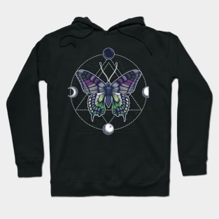 Aroace Butterfly LGBT Asexual Aromantic Pride Flag Hoodie